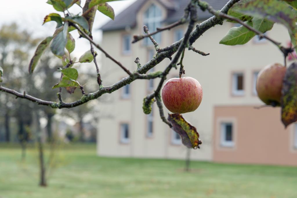 Ibis Falaise Coeur De Normandie Exterior foto